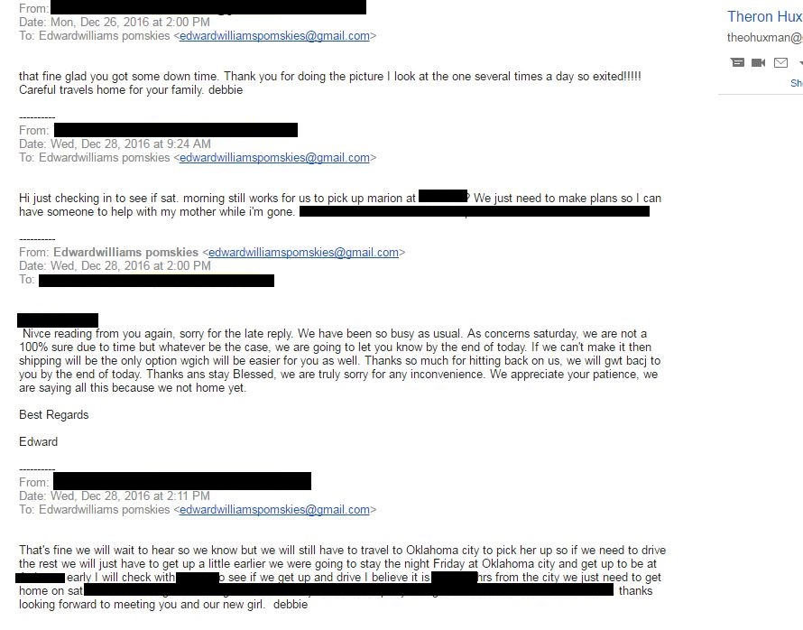 Pomsky Scam Email 5 - Pomeranian Husky Scam