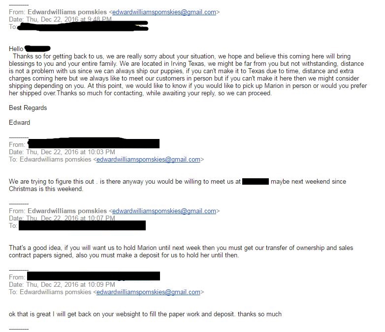 Pomsky Scam Email 1 - Pomeranian Husky Scam
