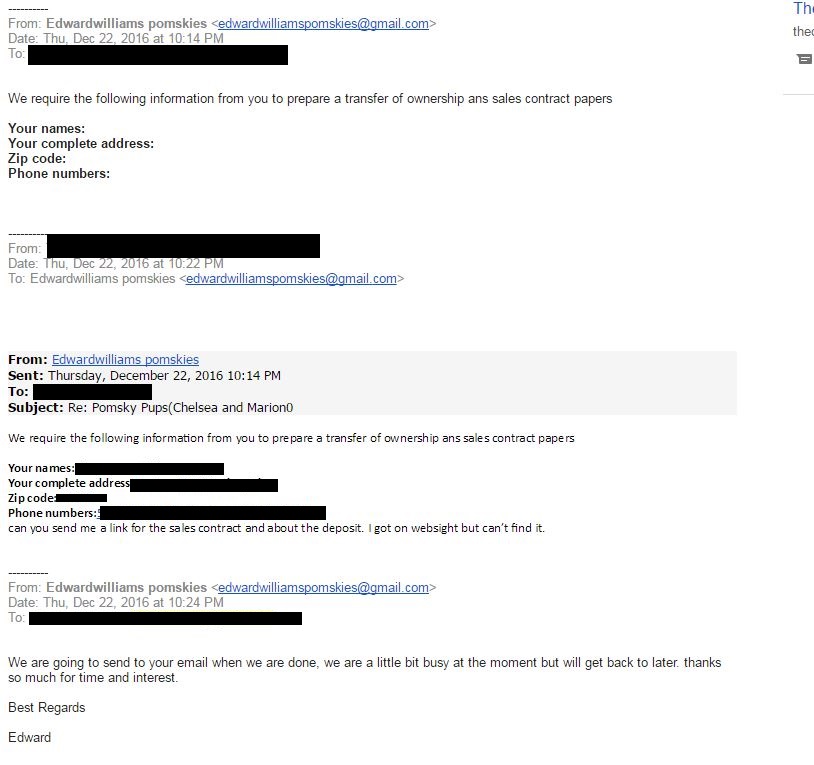Pomsky Scam Email 3 - Pomeranian Husky Scam