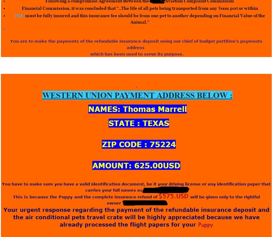 Pomsky Scam shipping email - Pomeranian Husky Scam